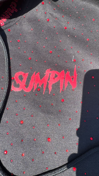 $umpin Limited Edition Rhinestone Hoodie
